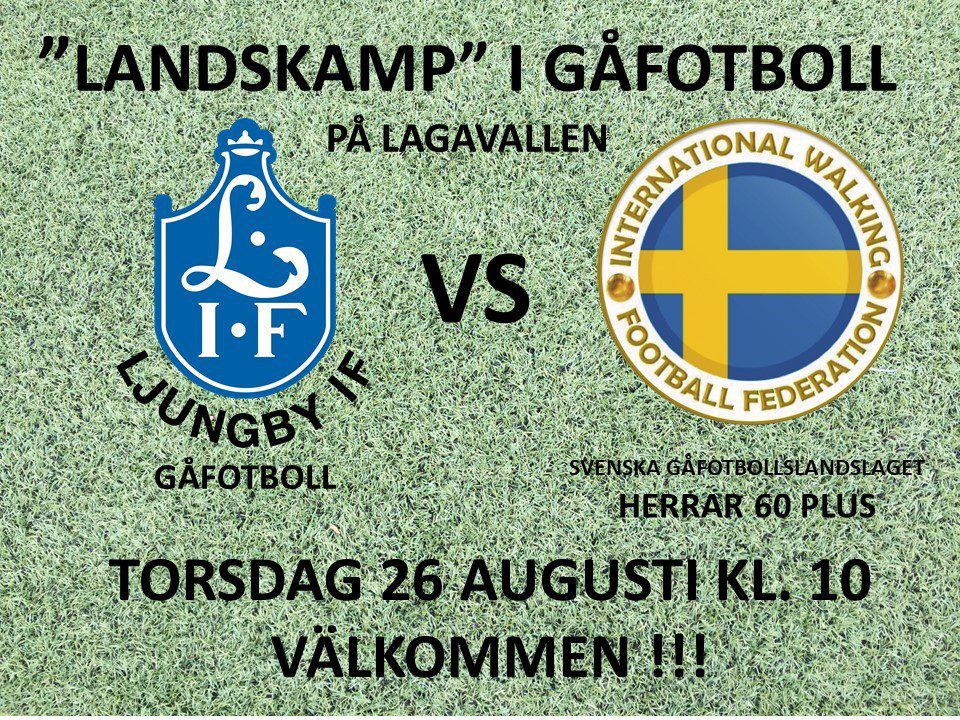 Gafotboll-Landskamp