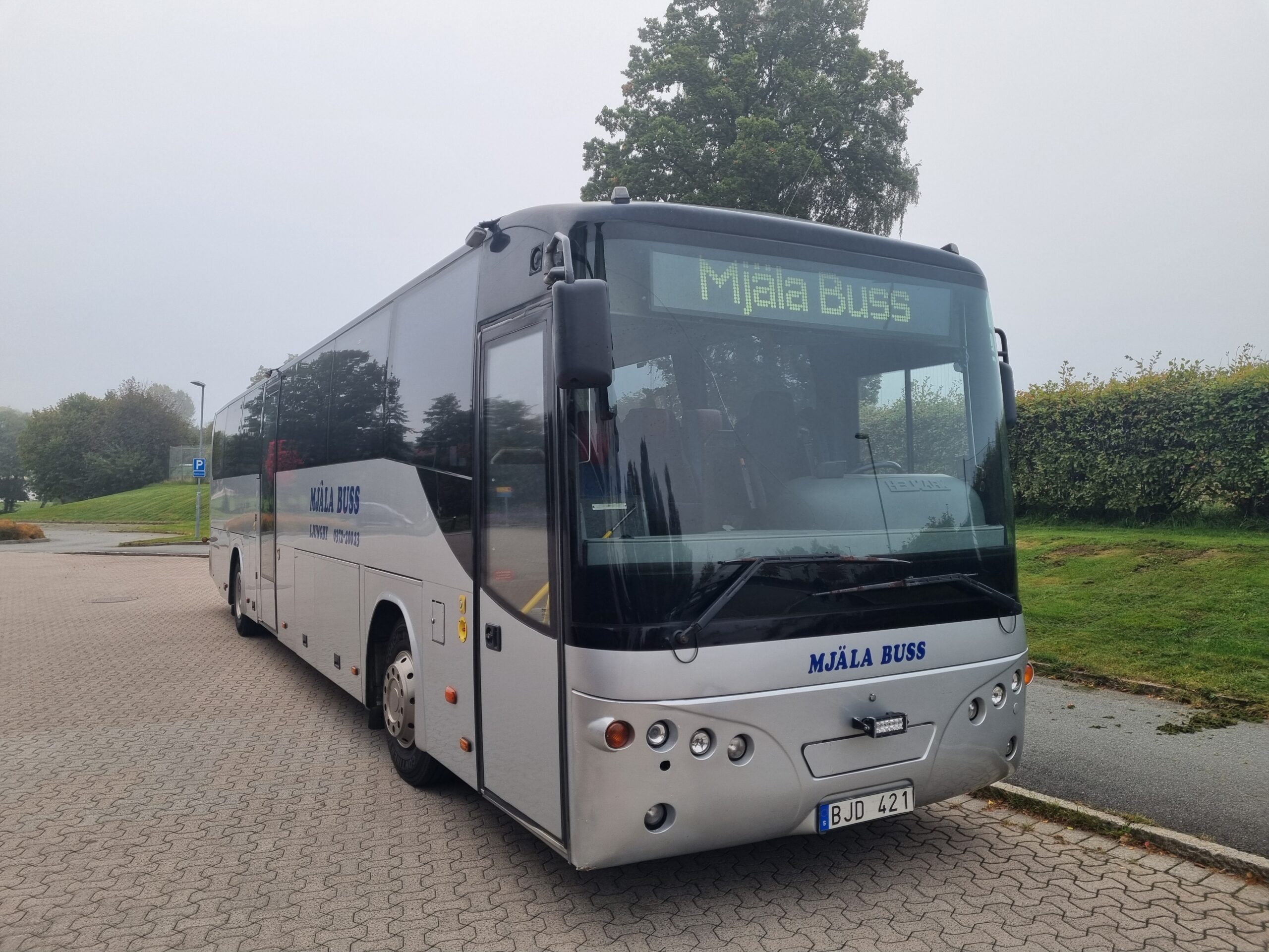 Mjala-Buss-1
