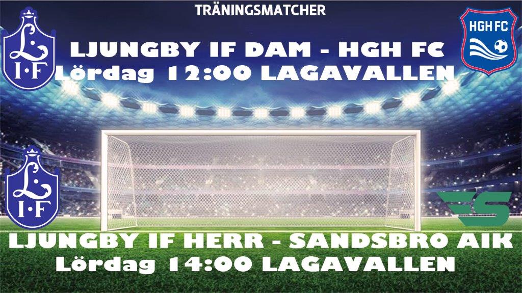 Matchannons-LIF-DAM-Herr-