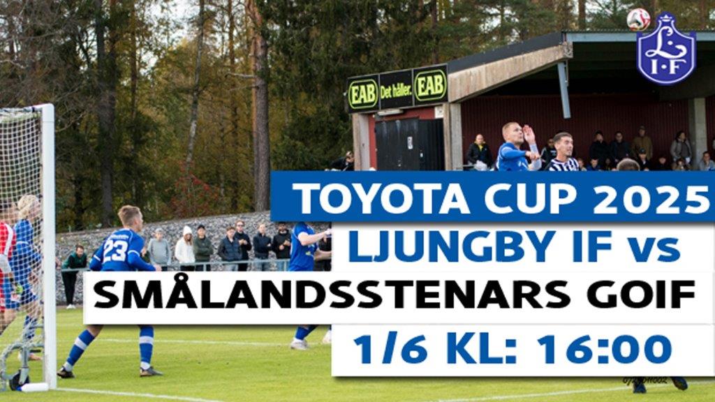 Matchannons-2025-Herr-A-vs-Smalandsstenars-GoIF-
